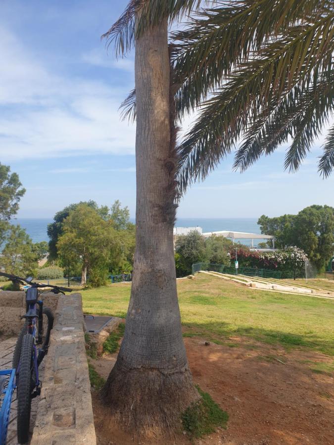 Luxury Studio At The Heart Of Old Jaffa Тел Авив Екстериор снимка