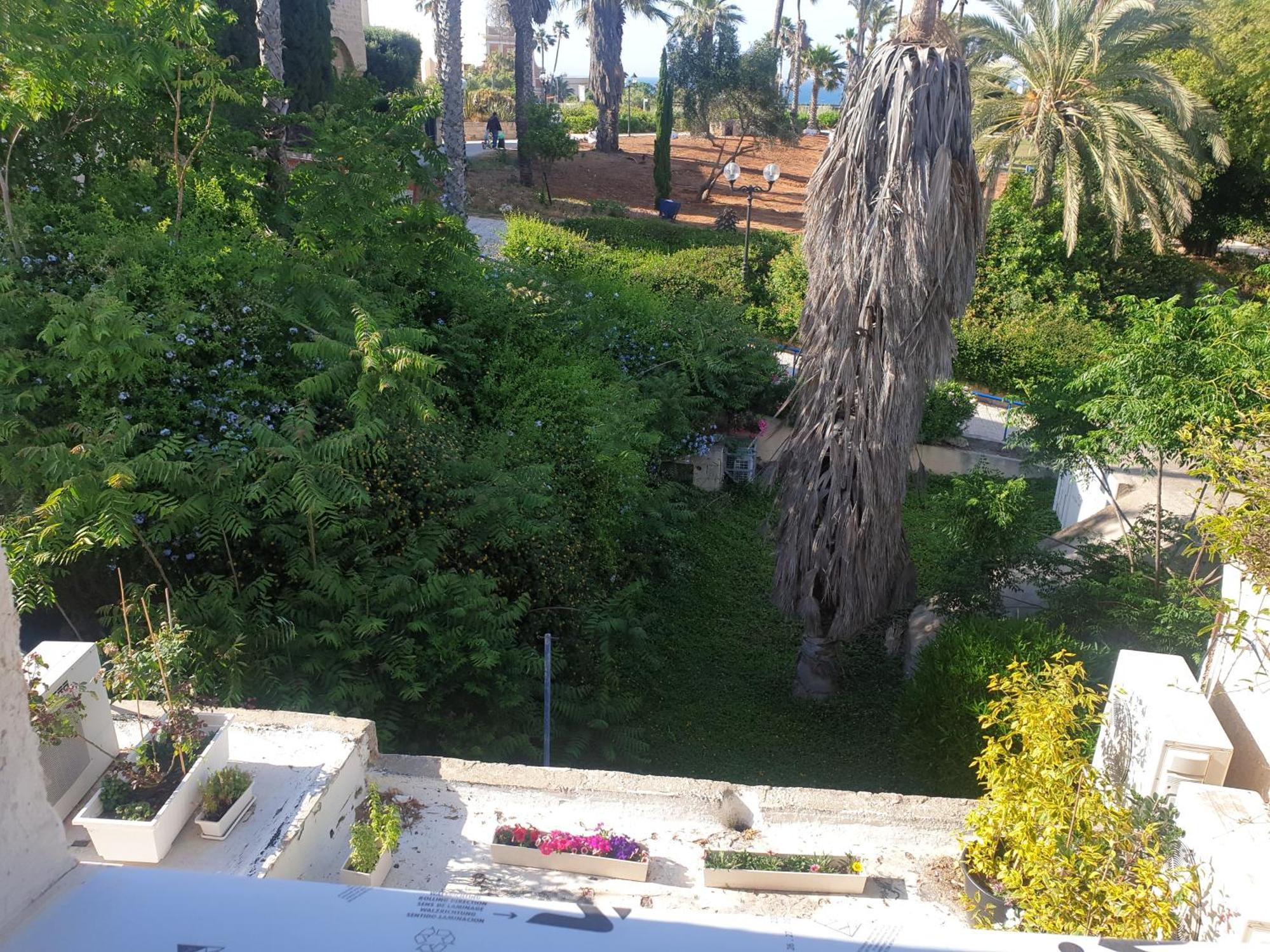 Luxury Studio At The Heart Of Old Jaffa Тел Авив Екстериор снимка